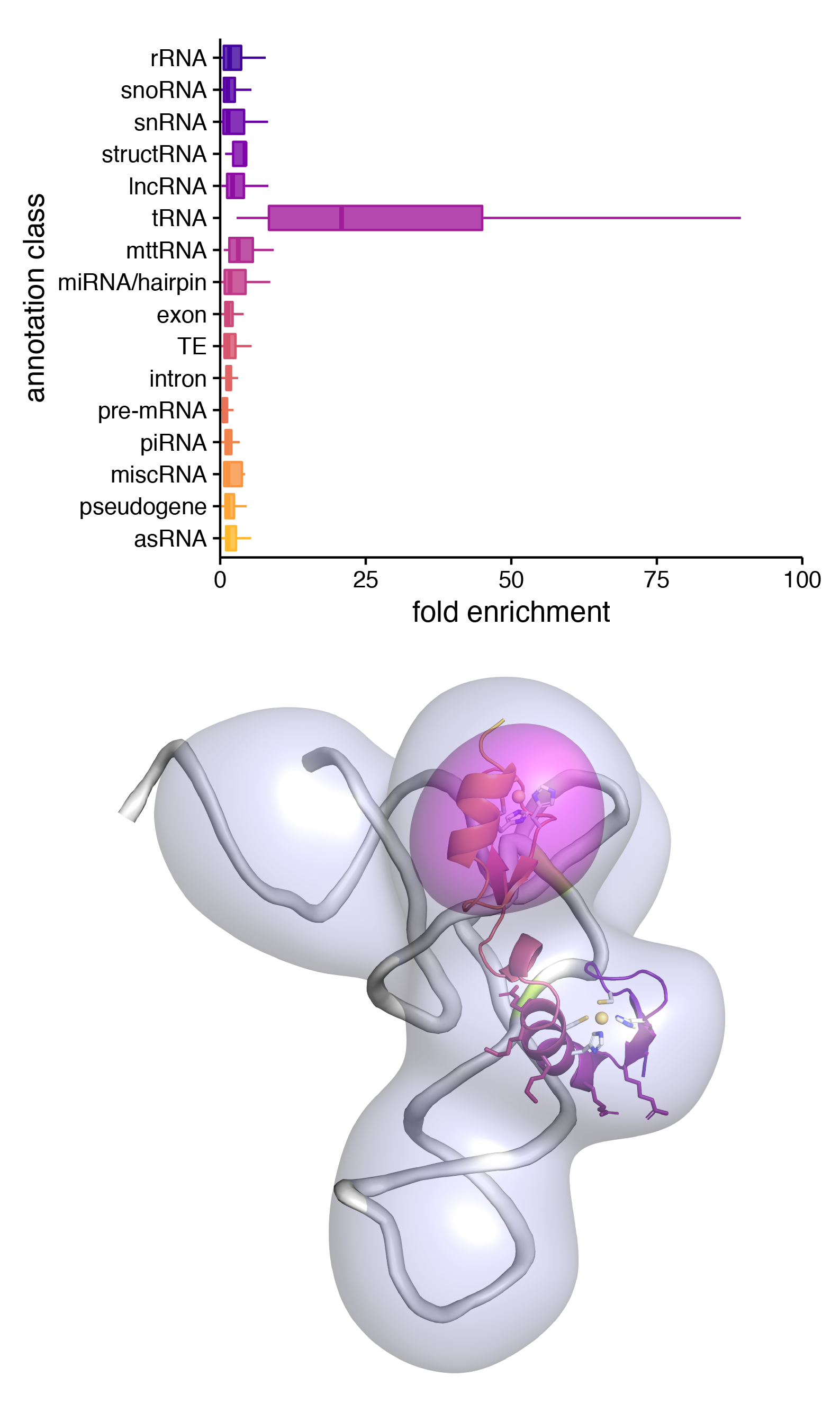 Asterix/Gtsf1 binds tRNAs