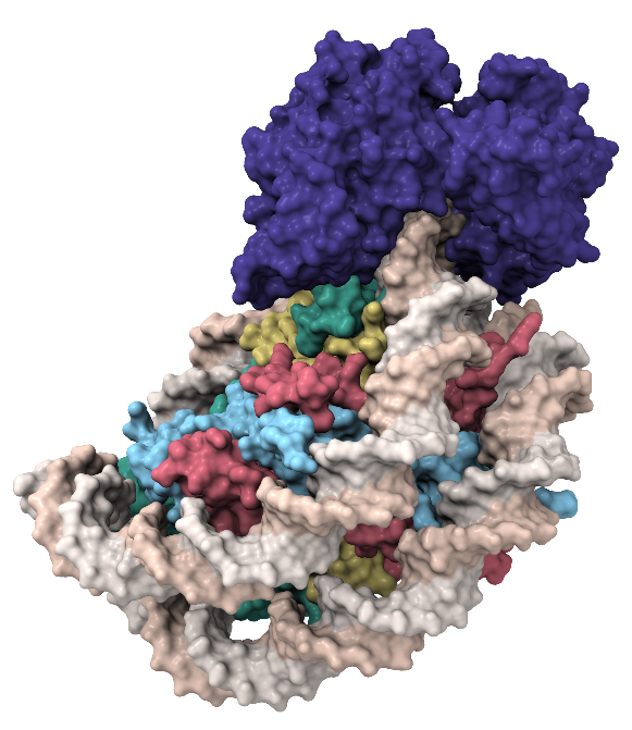 Cryo-EM structure of DDM1 bound to nucleosomes