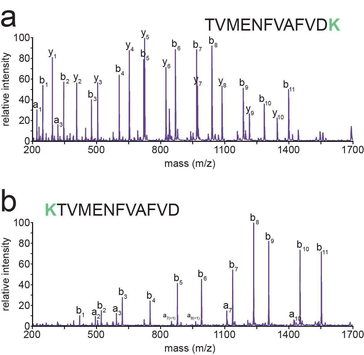 Structure of the spectrin tetramerization domains