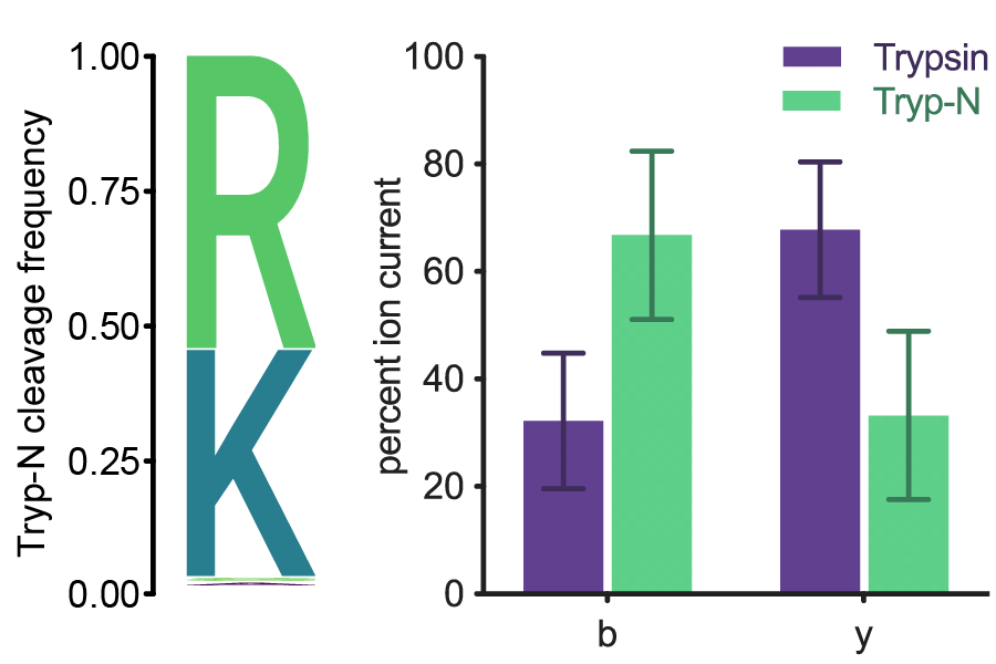 Tryp-N proteolytic activity