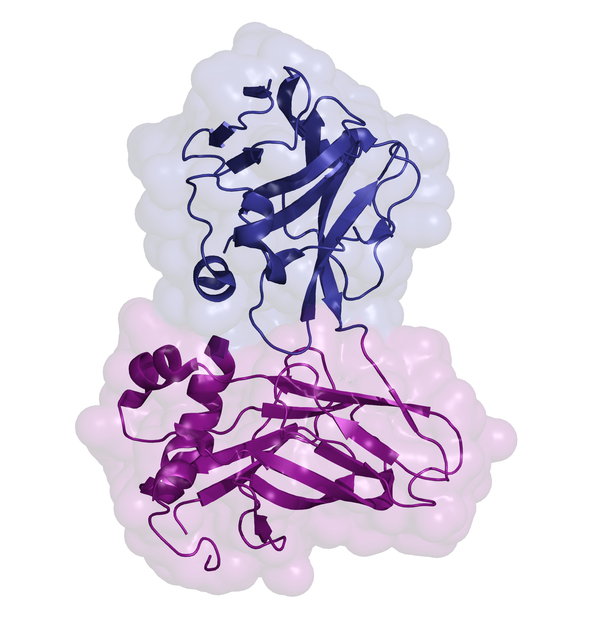 Structure of tandem ZU5 domains